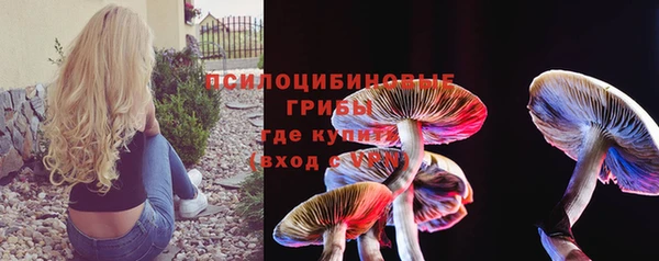 спиды Белокуриха