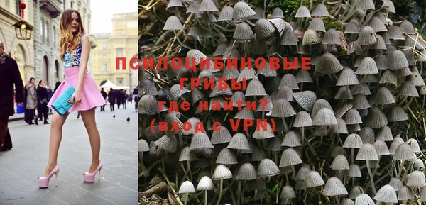 спиды Белокуриха