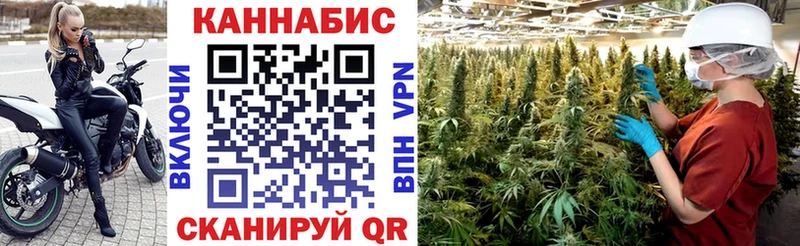 Бошки марихуана Bruce Banner  купить закладку  ссылка на мегу онион  Болохово 
